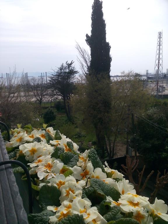 Pendik Marine Hotel Istanbulská provincie Exteriér fotografie